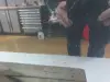 5d0b1522b3755760d6b1e4995948528e