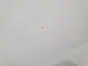 8c72dde53112b3e802ec13936eb48aaf