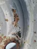ffd6d3fa62bf802790dfac84dac5de05