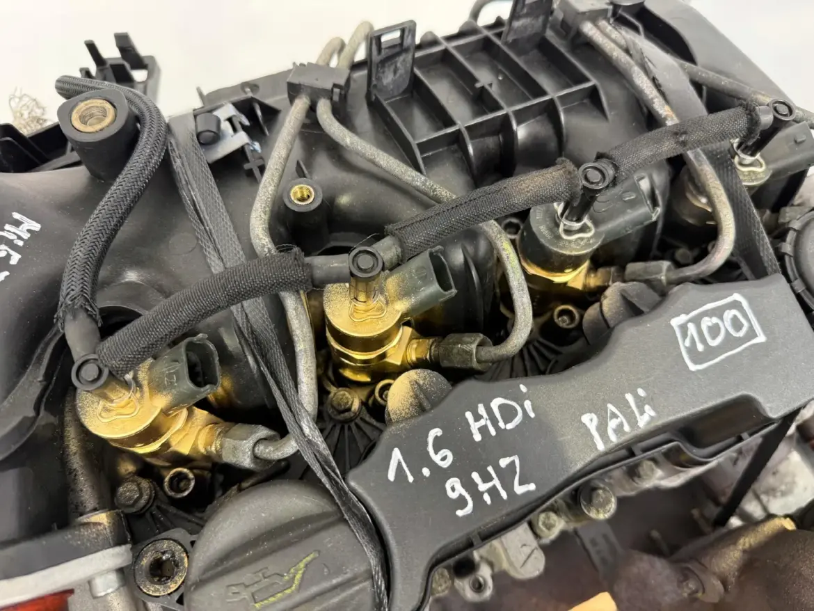 d150aaef1750f57d5f92c204ece4e187