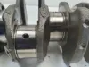 c858bd989c58f496234e7991040fd832
