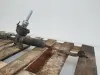 331041dab31635c122e6dd93383b9ed9