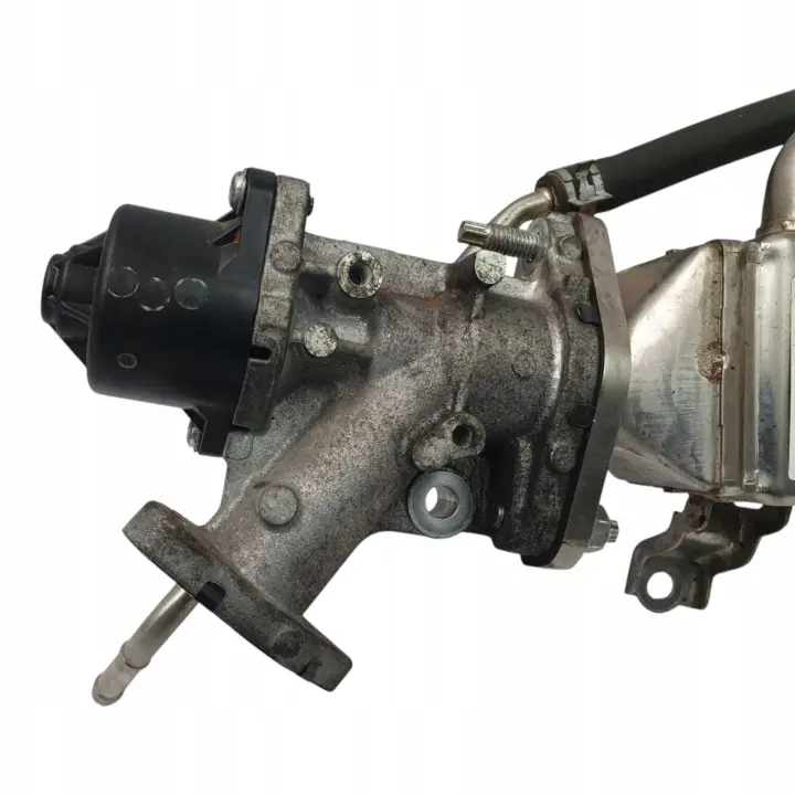 e954b64cb9a96d1eab851691799d6d38