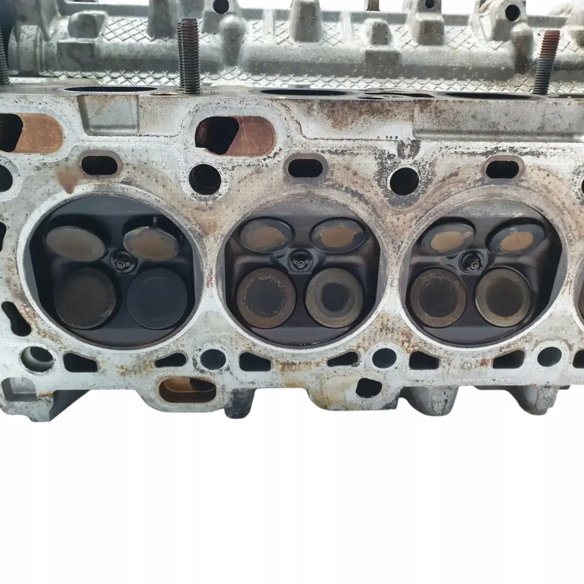 01ae8dc8d441a141ebbca6dc6effd34c