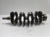 657b70d8c904b1bef45104172a925246