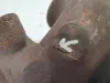 0c3a0f156e5ad31bea250138c18d05be