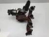 7d7c3e9992595c4d44a319050334e9bb