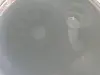 09c38c0cc8a18df011d7f52b9319690c