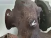 7b6fa0c6c564390b8236715bfd96ba46